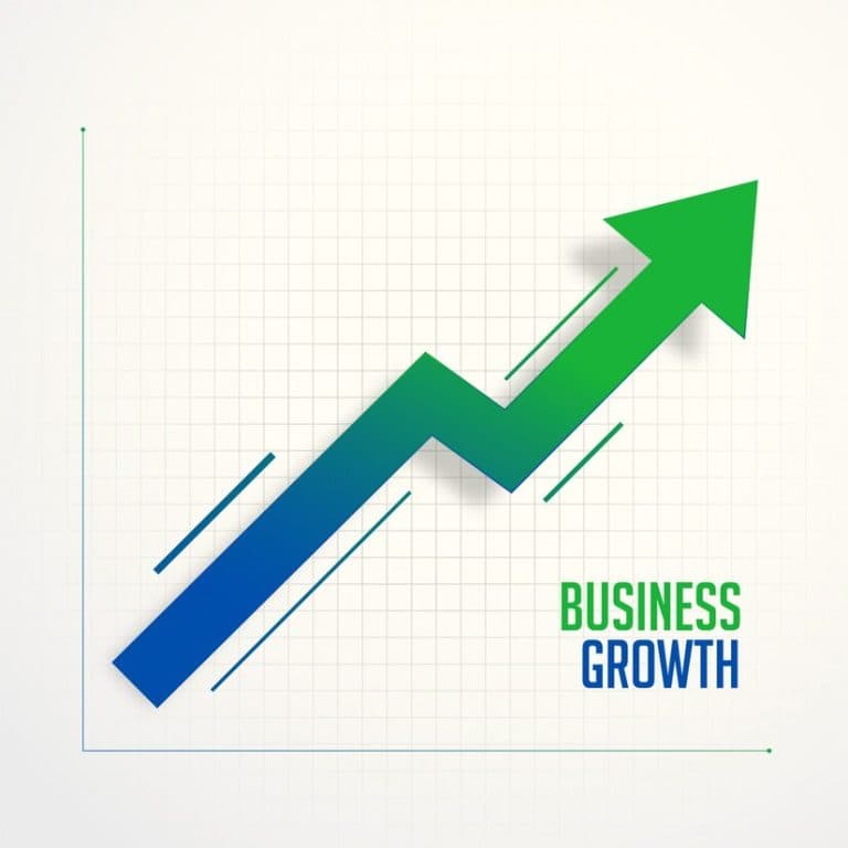 SEO Expert building strategy