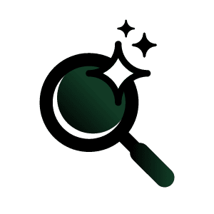 SEO & AI Search Services