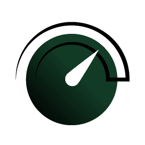 WordPress Page Speed