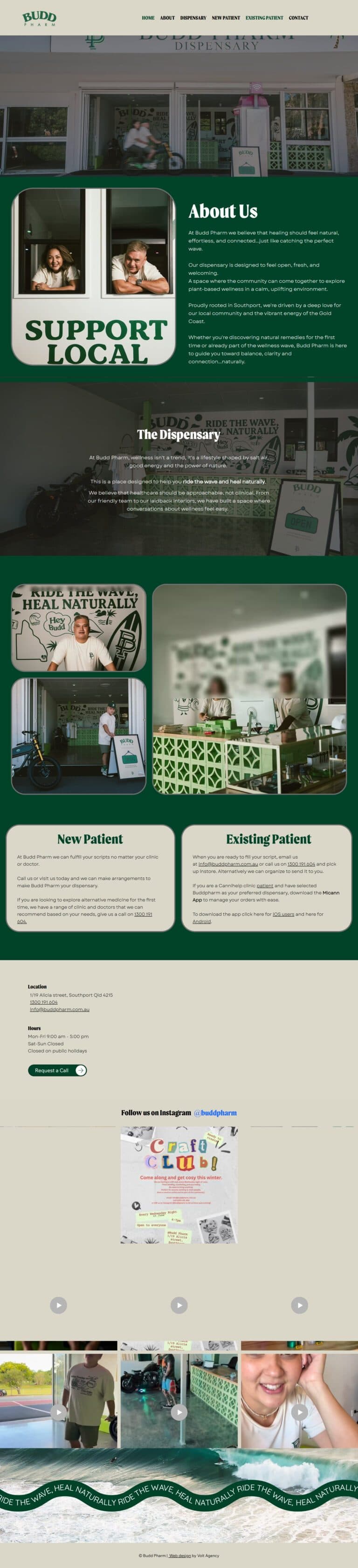 Budd Pharm website design